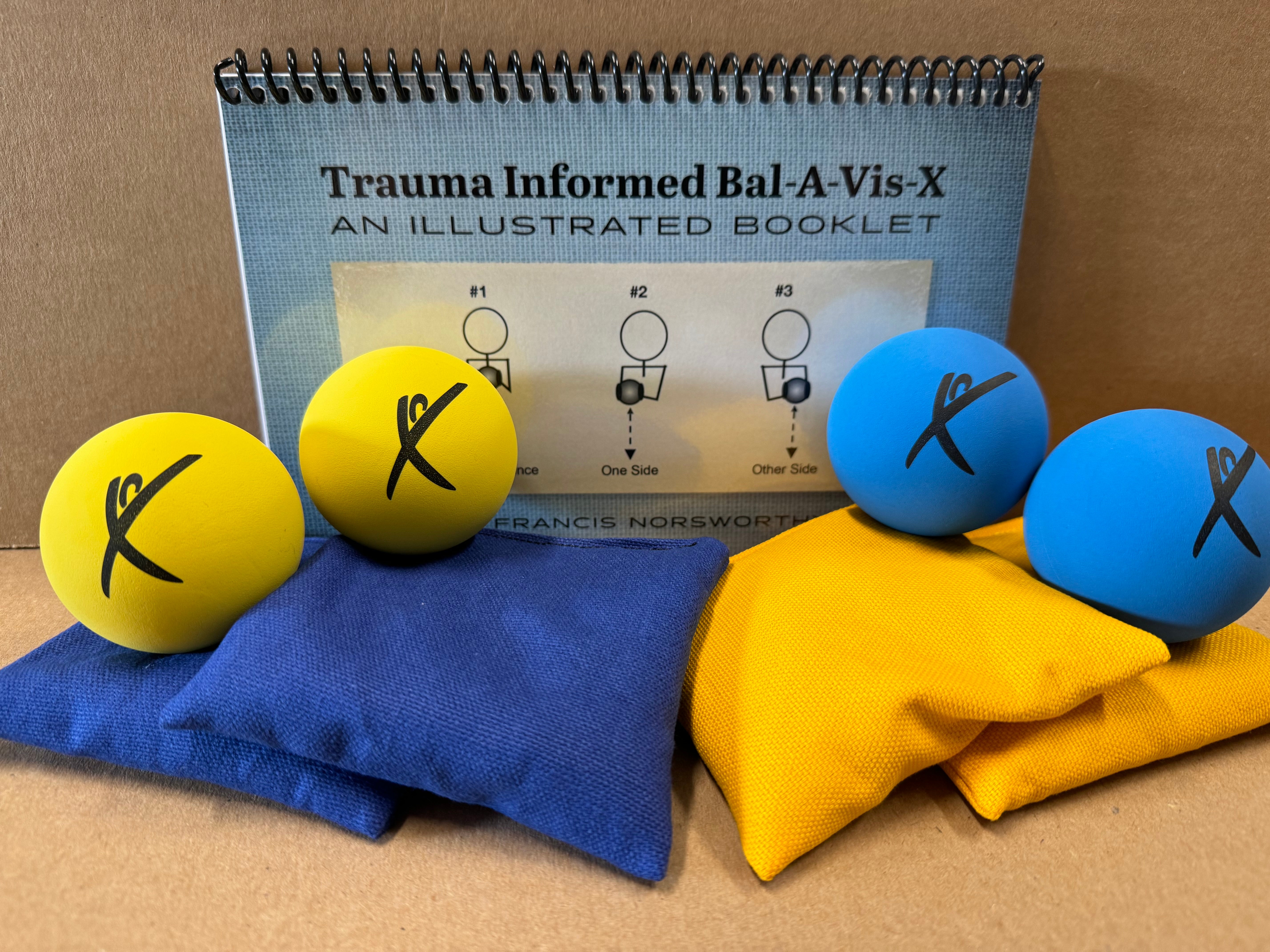 Streaming Trauma Informed Bal-A-Vis-X Materials Kit – BAVX Resources